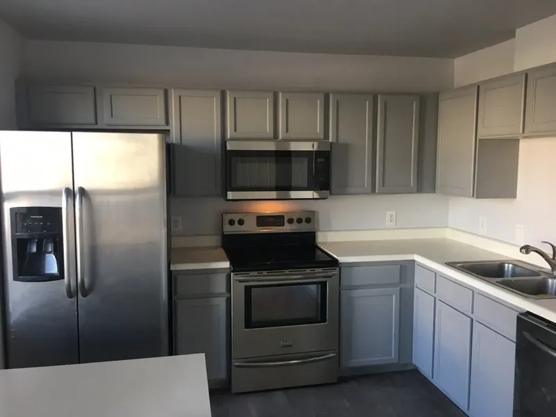 Modern Kitchen Renovation